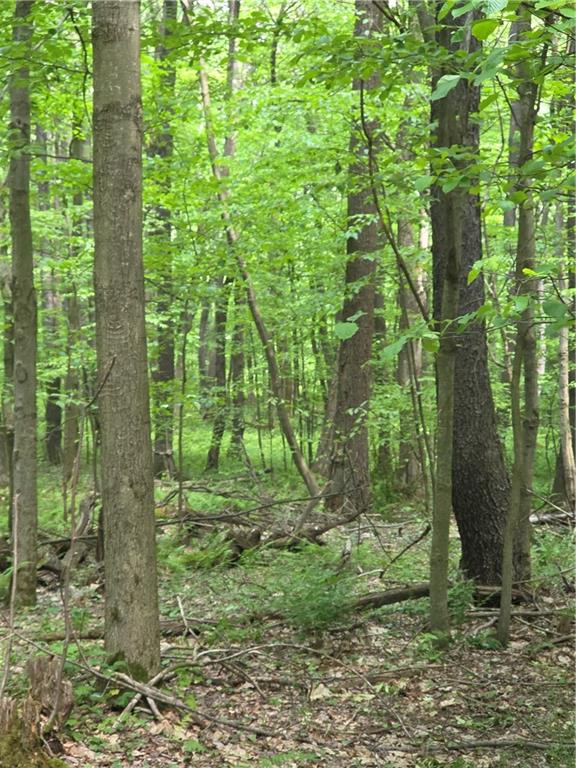 0 Silvis Road Homer City, PA 15748 - Photo 12 of 13
