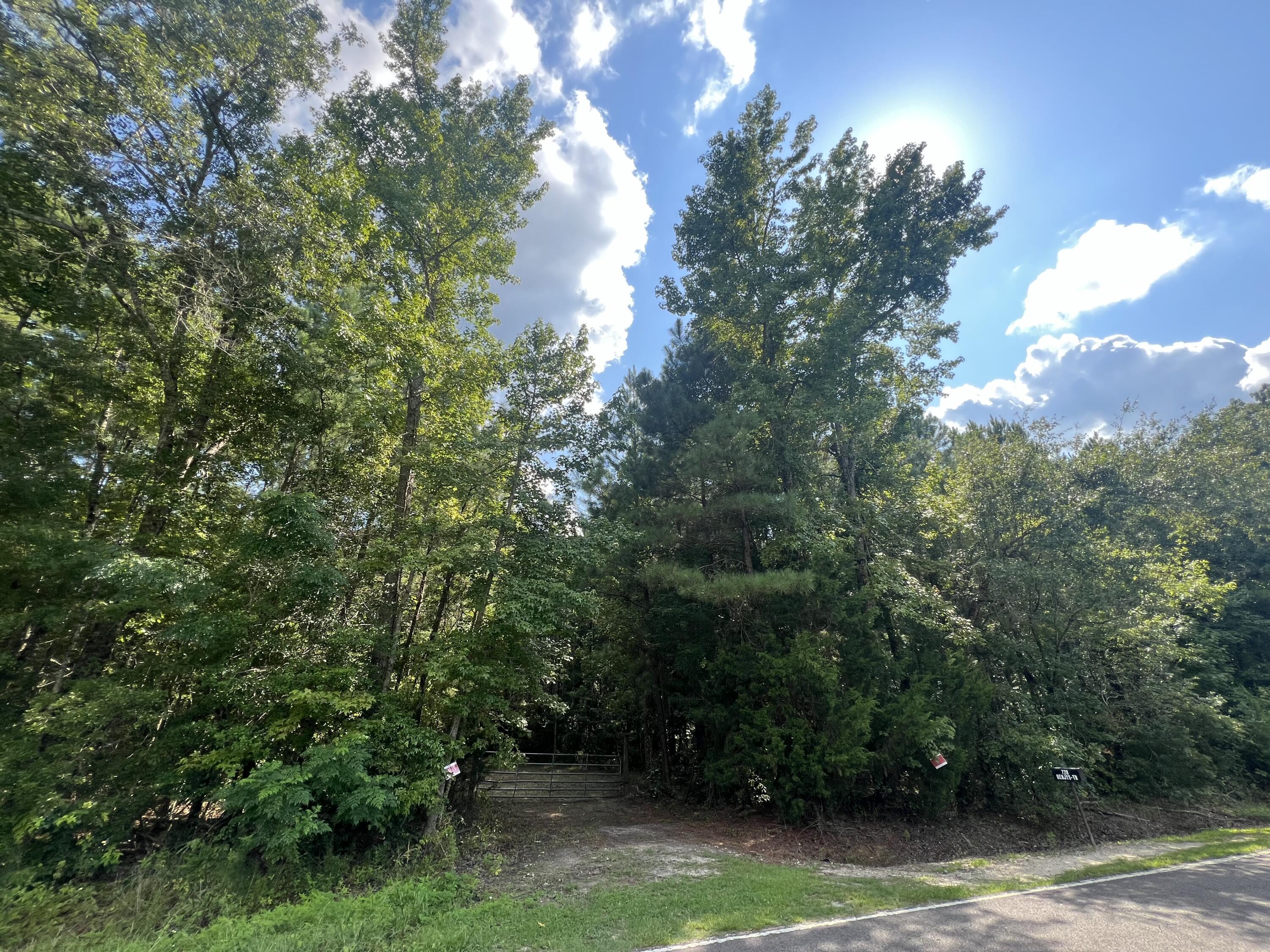 0 French Santee Road Jamestown, SC 29453 - Photo 2 of 22 IMG_1193