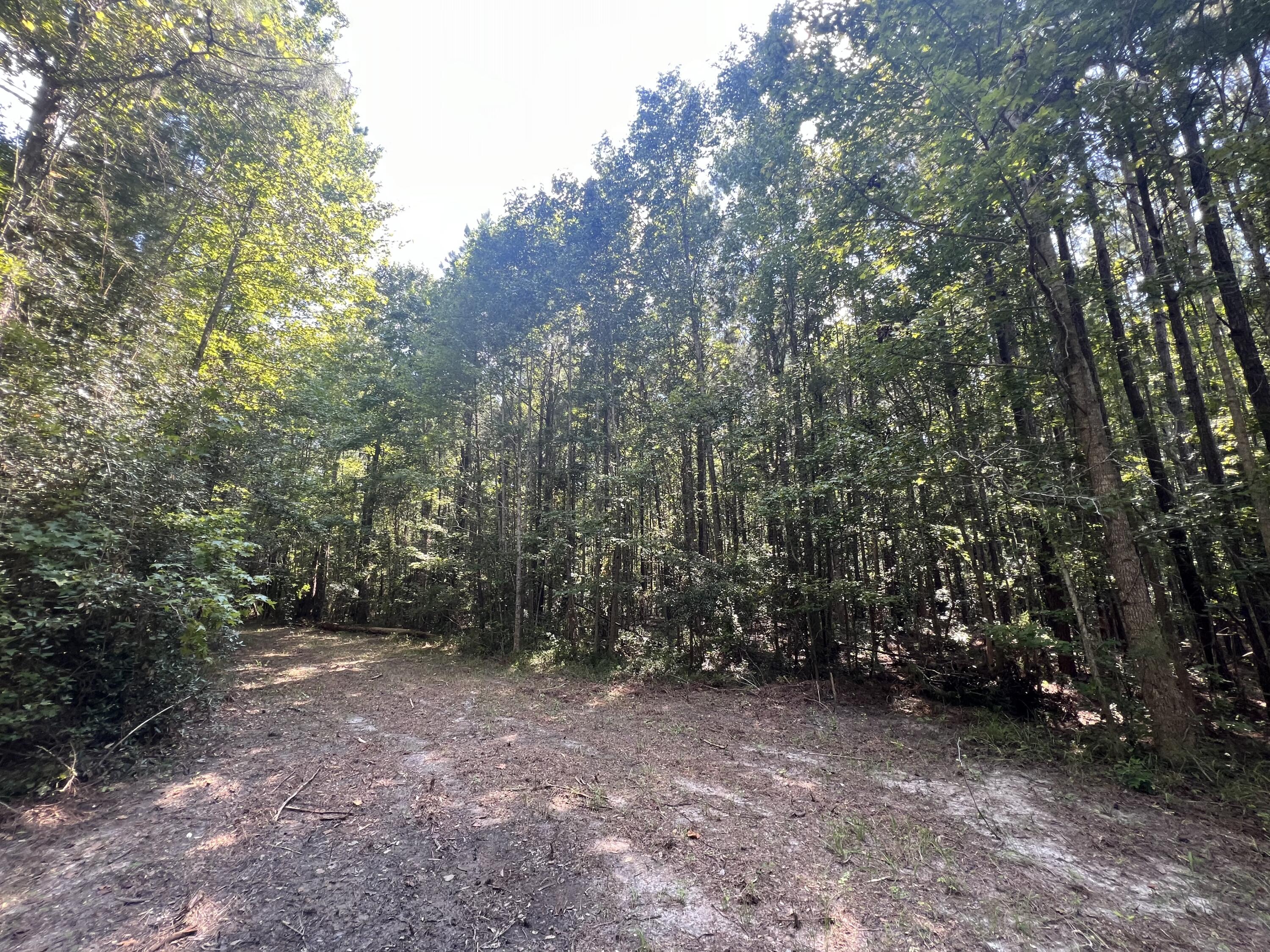 0 French Santee Road Jamestown, SC 29453 - Photo 3 of 22 IMG_1192