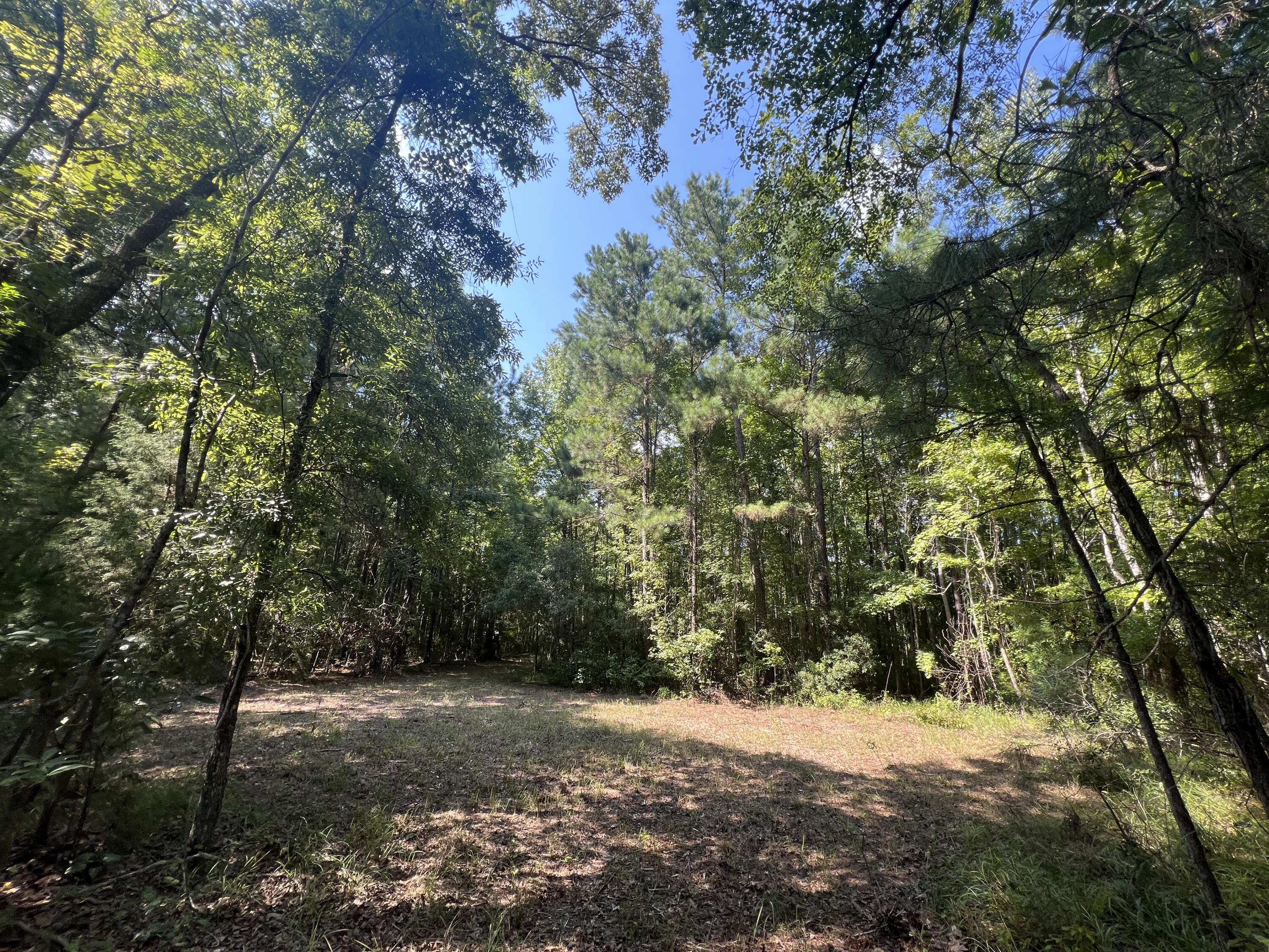 0 French Santee Road Jamestown, SC 29453 - Photo 6 of 22 IMG_1188