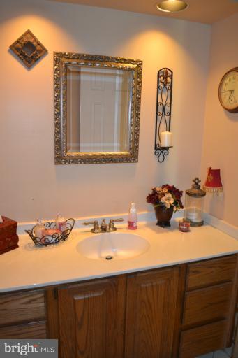 21669 St Louis Road Middleburg, VA 20117 - Photo 18 of 30 Bath