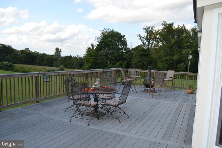 21669 St Louis Road Middleburg, VA 20117 - Photo 19 of 30 Exterior (Rear)