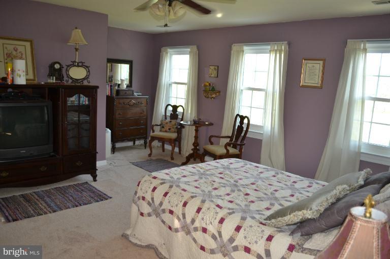 21669 St Louis Road Middleburg, VA 20117 - Photo 20 of 30 Bedroom (Master)