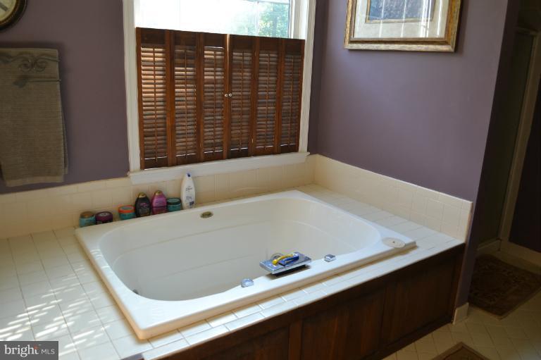 21669 St Louis Road Middleburg, VA 20117 - Photo 22 of 30 Bath (Master)
