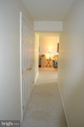 21669 St Louis Road Middleburg, VA 20117 - Photo 26 of 30 Basement