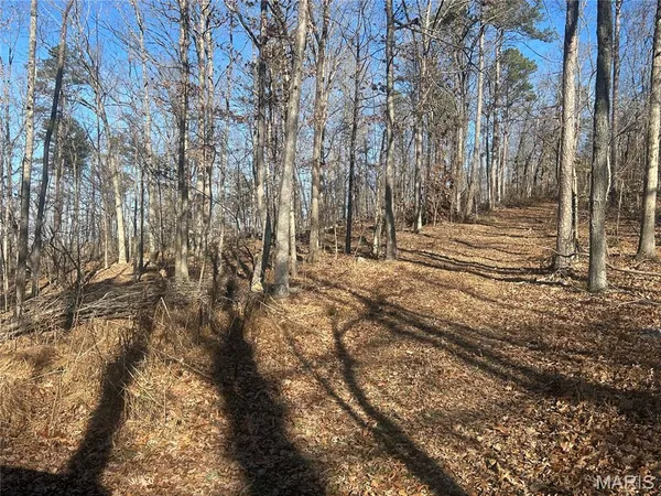 $97,995 | 303 Madison Street, Fredericktown, MO 63645