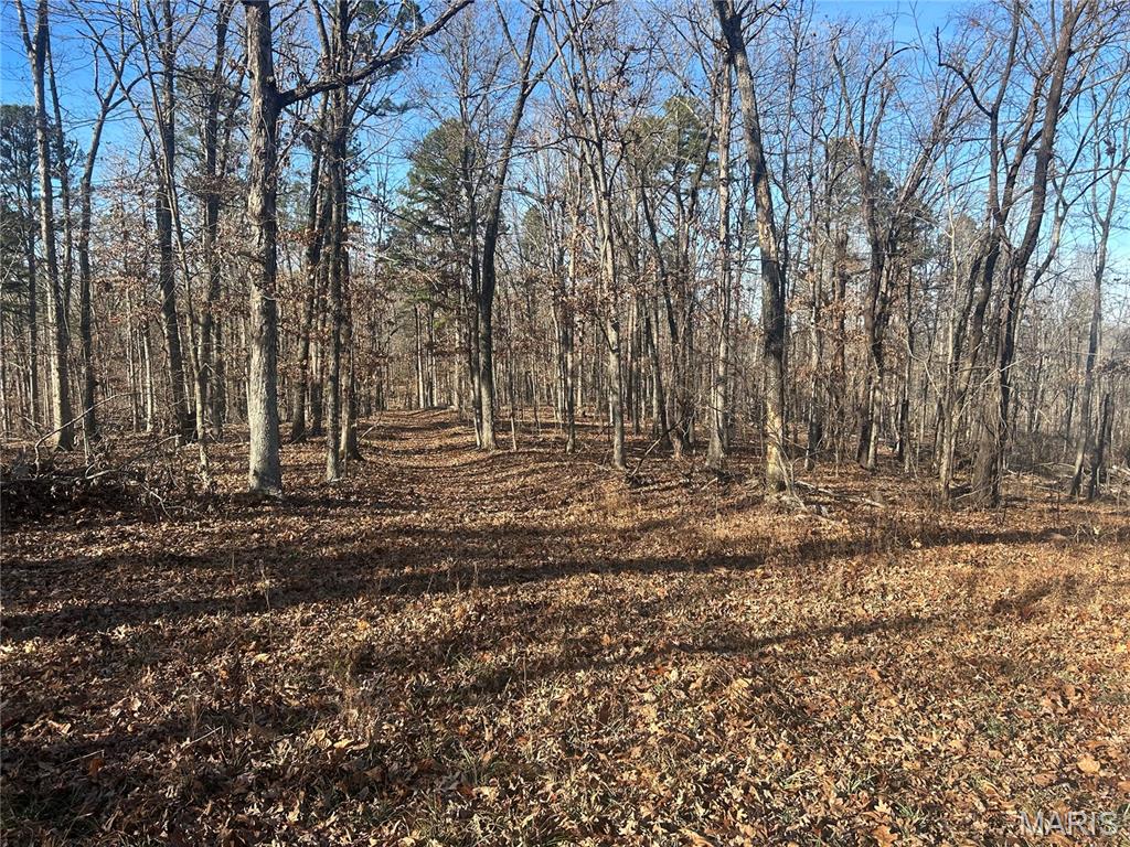 303 Madison Street Fredericktown, MO 63645 - Photo 3 of 9