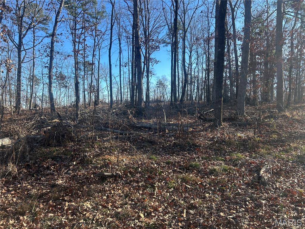 303 Madison Street Fredericktown, MO 63645 - Photo 4 of 9