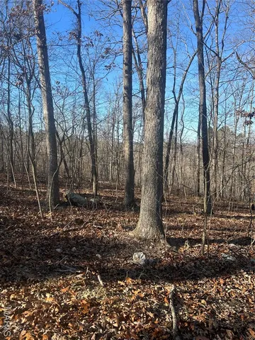 $97,995 | 303 Madison Street, Fredericktown, MO 63645