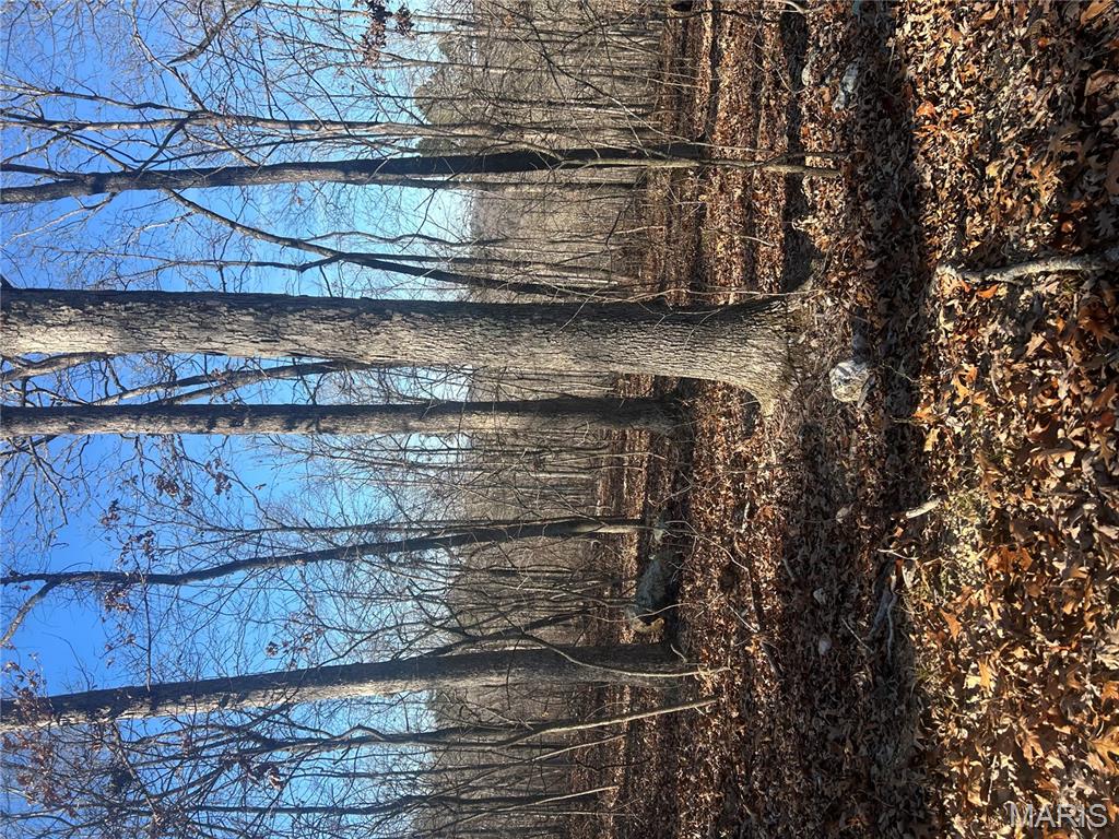 303 Madison Street Fredericktown, MO 63645 - Photo 5 of 9