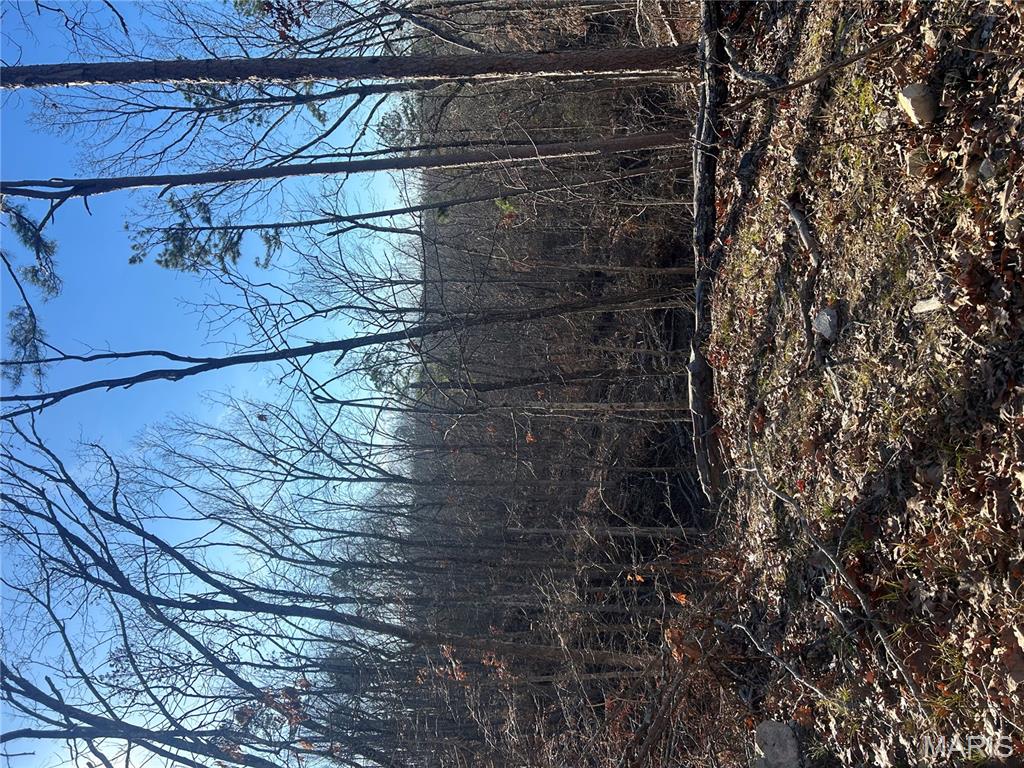 303 Madison Street Fredericktown, MO 63645 - Photo 6 of 9