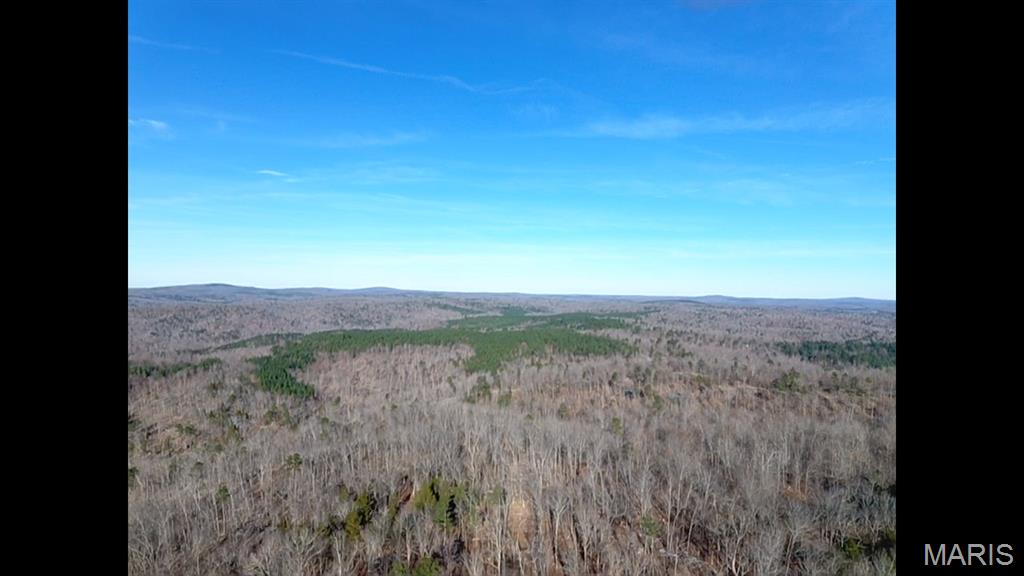 303 Madison Street Fredericktown, MO 63645 - Photo 8 of 9