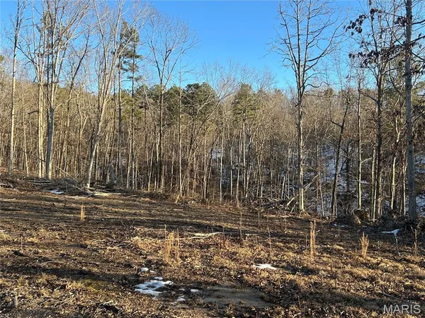 $97,995 | 303 Madison Street, Fredericktown, MO 63645