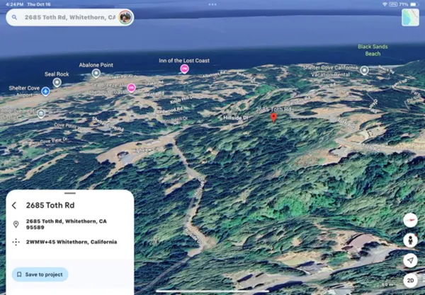 a view of a tree in a field