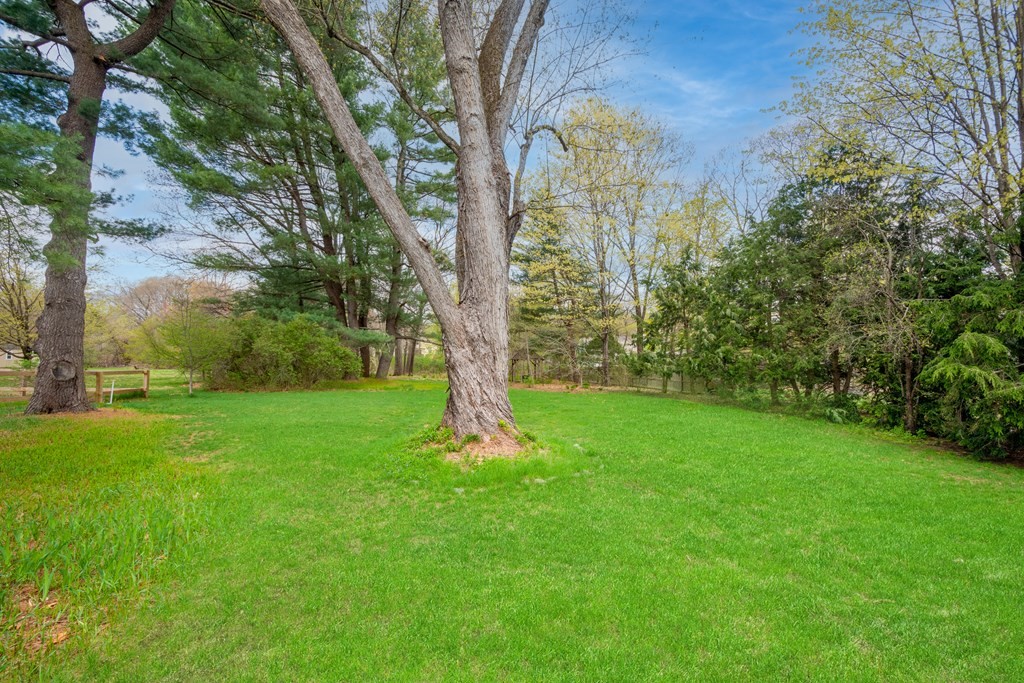 742 Barretts Mill Road Concord, MA 01742 - Photo 33 of 38 a view of a garden with a tree