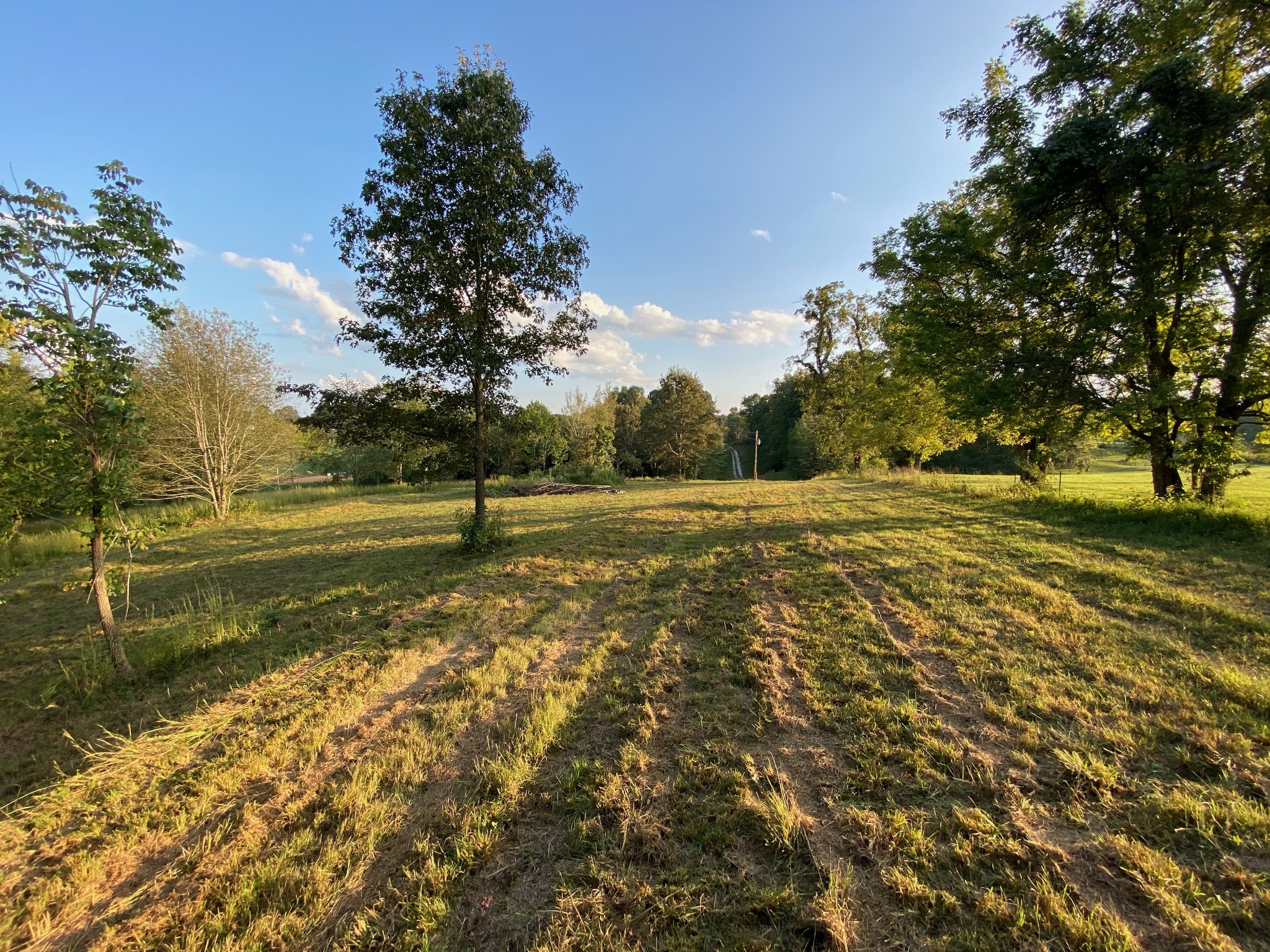 637 Southerland Road Dickson, TN 37055 - Photo 1 of 20 Gallery Image 1