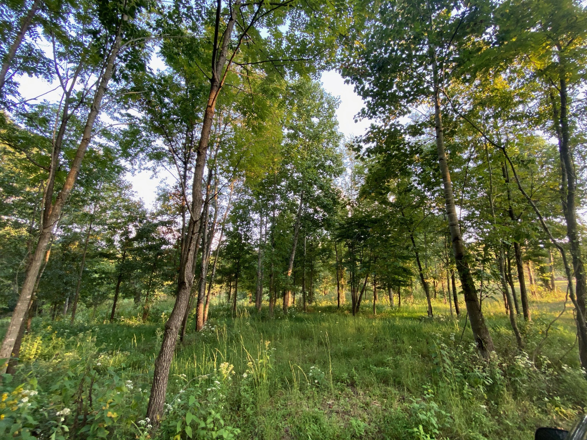 637 Southerland Road Dickson, TN 37055 - Photo 11 of 20 Gallery Image 11