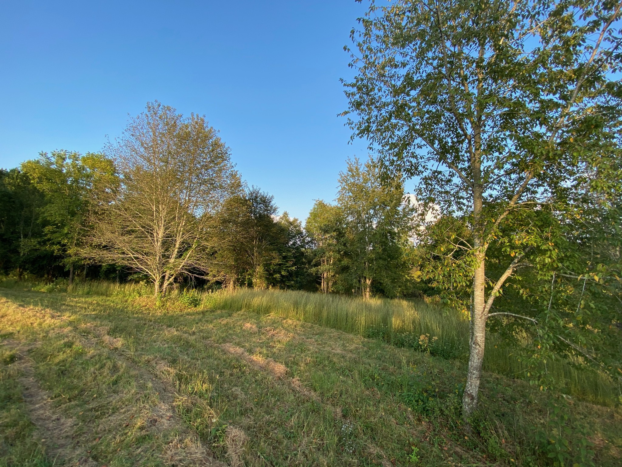 637 Southerland Road Dickson, TN 37055 - Photo 12 of 20 Gallery Image 12