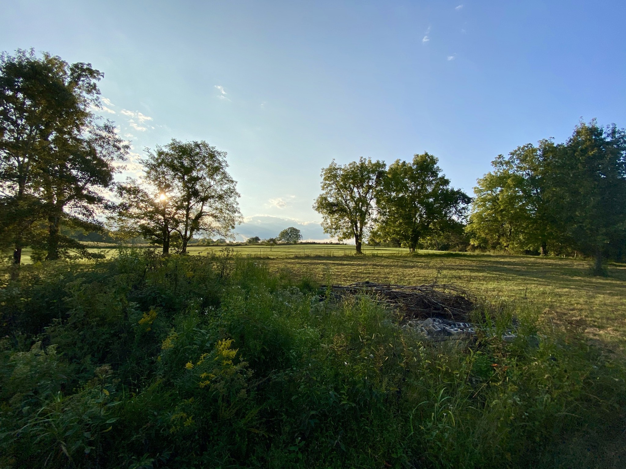 637 Southerland Road Dickson, TN 37055 - Photo 13 of 20 Gallery Image 13
