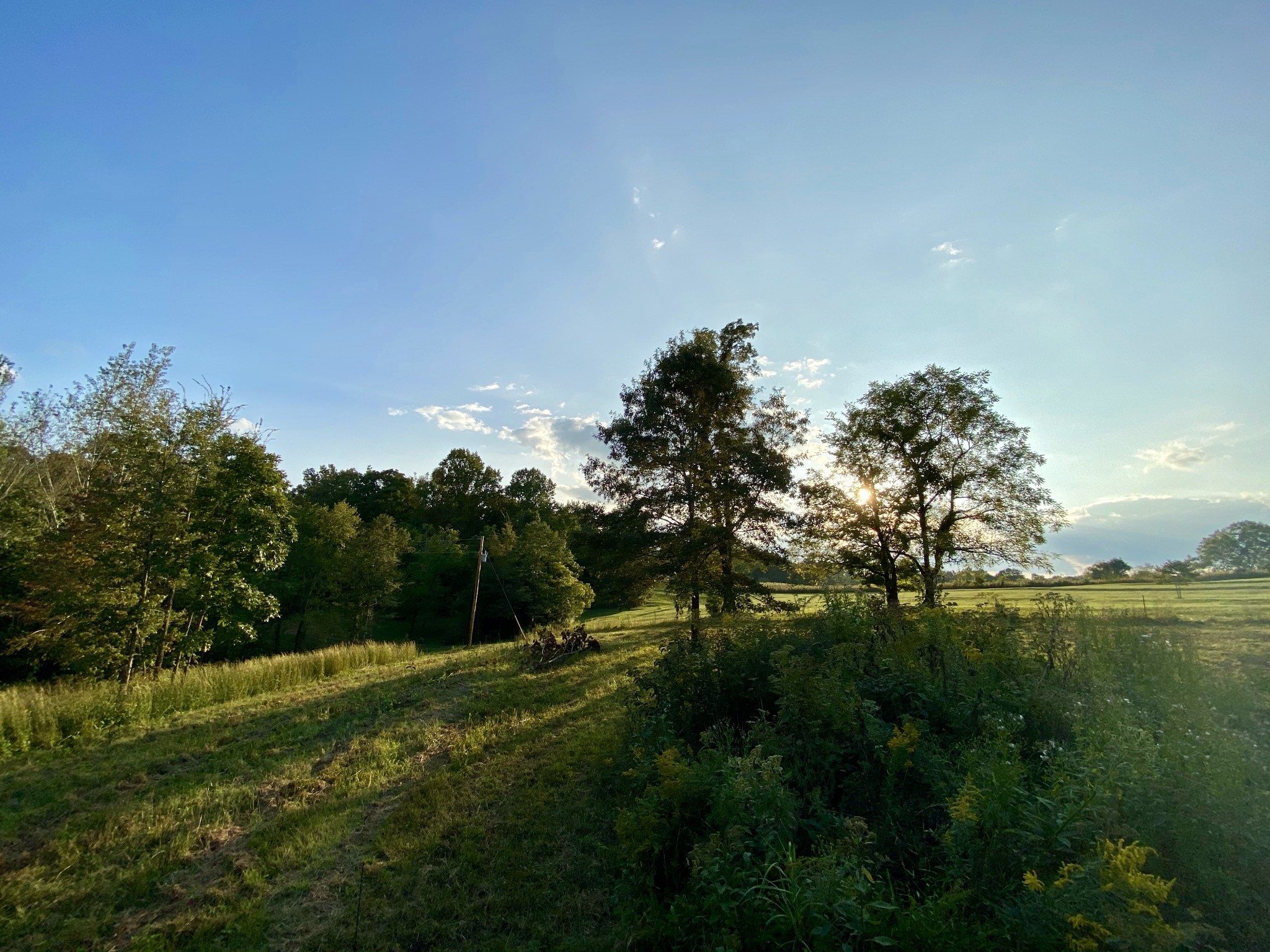 637 Southerland Road Dickson, TN 37055 - Photo 14 of 20 Gallery Image 14