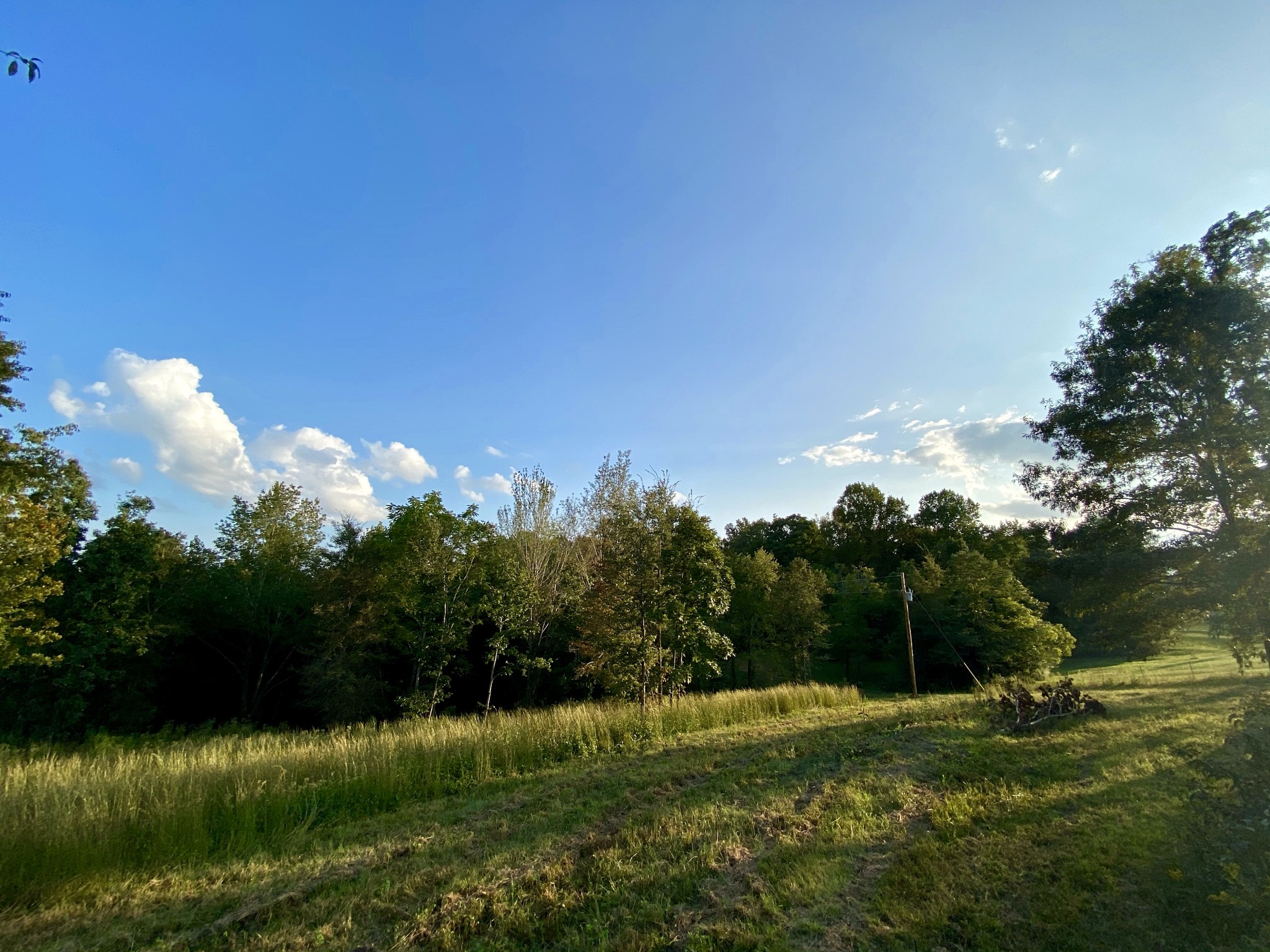 637 Southerland Road Dickson, TN 37055 - Photo 15 of 20 Gallery Image 15