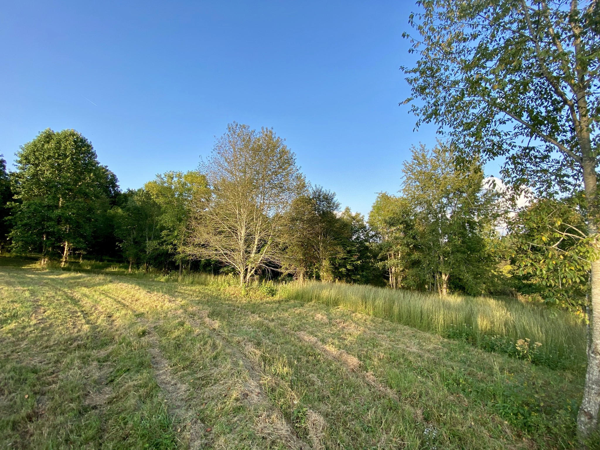 637 Southerland Road Dickson, TN 37055 - Photo 16 of 20 Gallery Image 16