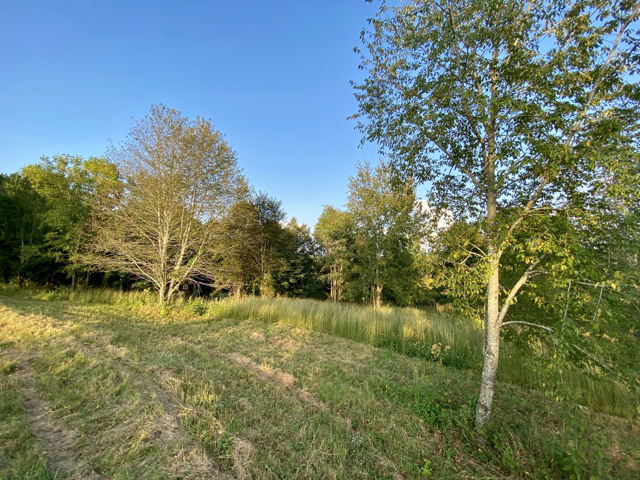 637 Southerland Road Dickson, TN 37055 - Photo 17 of 20 Gallery Image 17