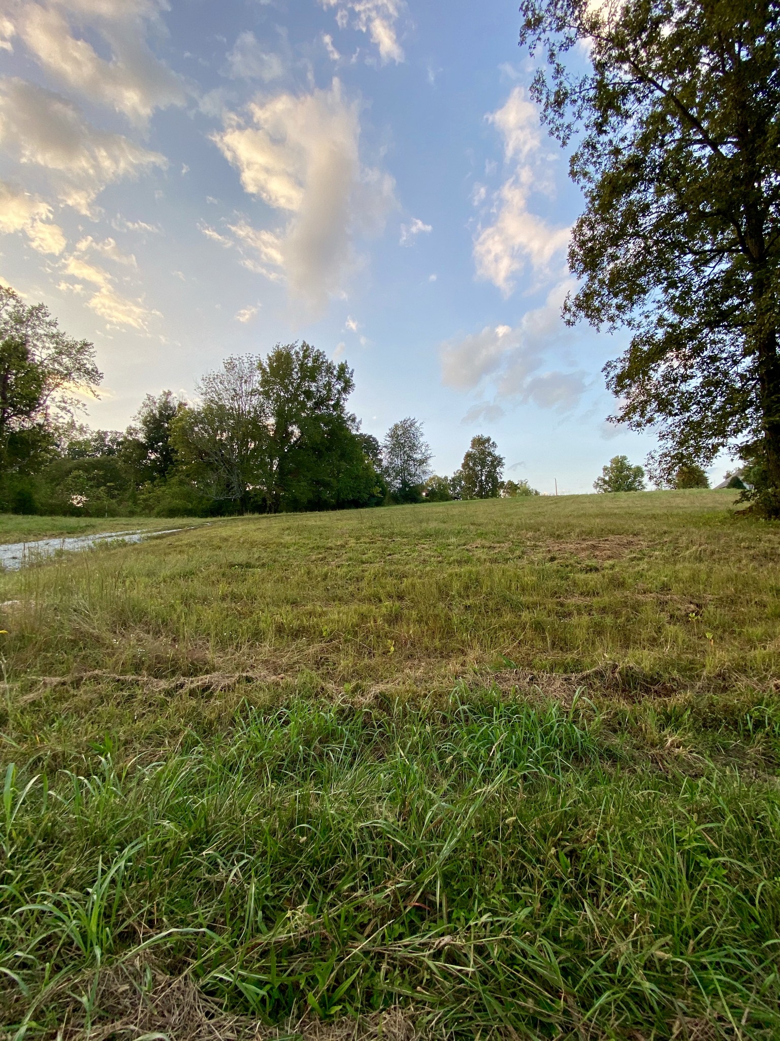 637 Southerland Road Dickson, TN 37055 - Photo 20 of 20 Gallery Image 20