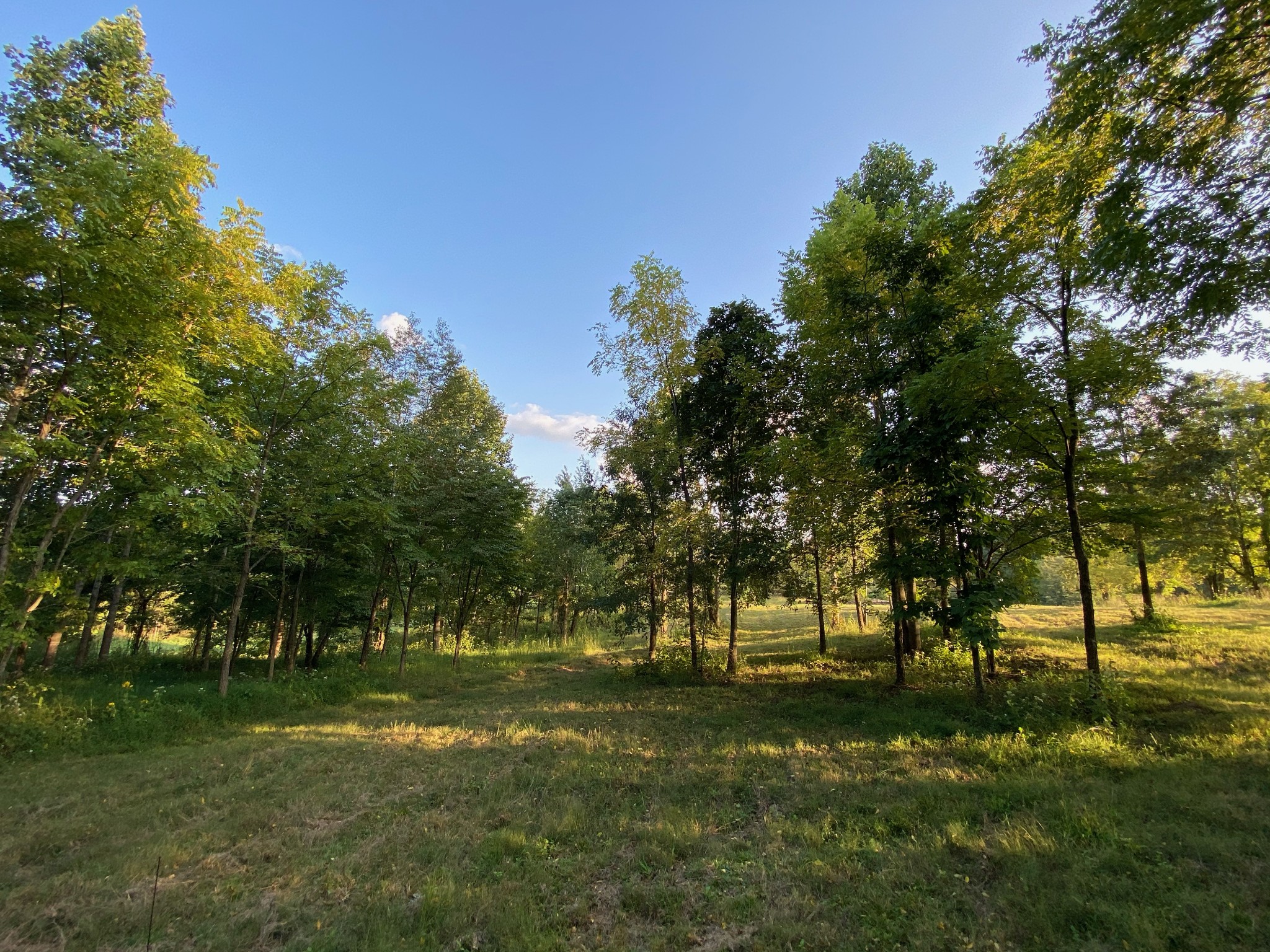637 Southerland Road Dickson, TN 37055 - Photo 2 of 20 Gallery Image 2