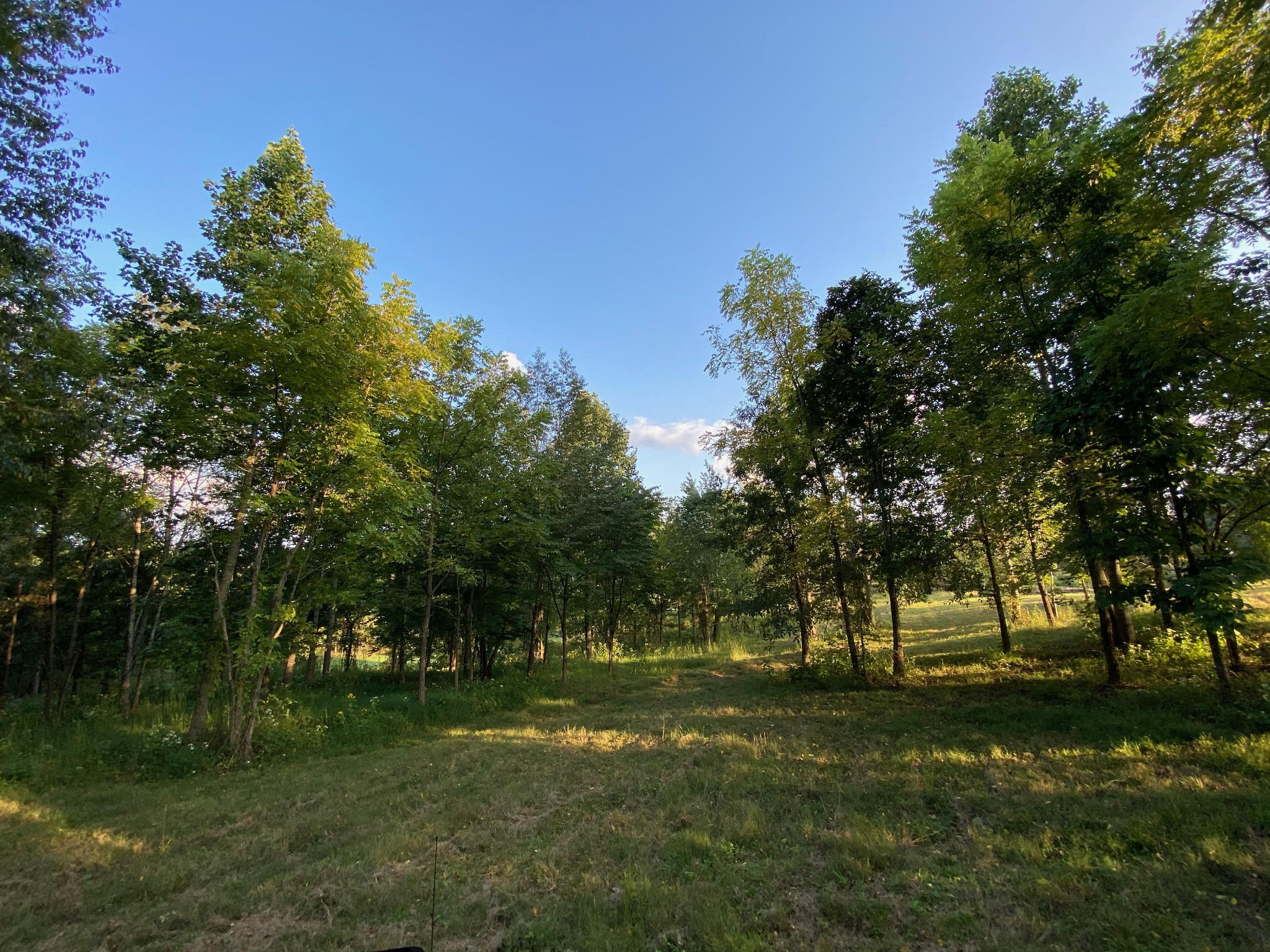637 Southerland Road Dickson, TN 37055 - Photo 3 of 20 Gallery Image 3