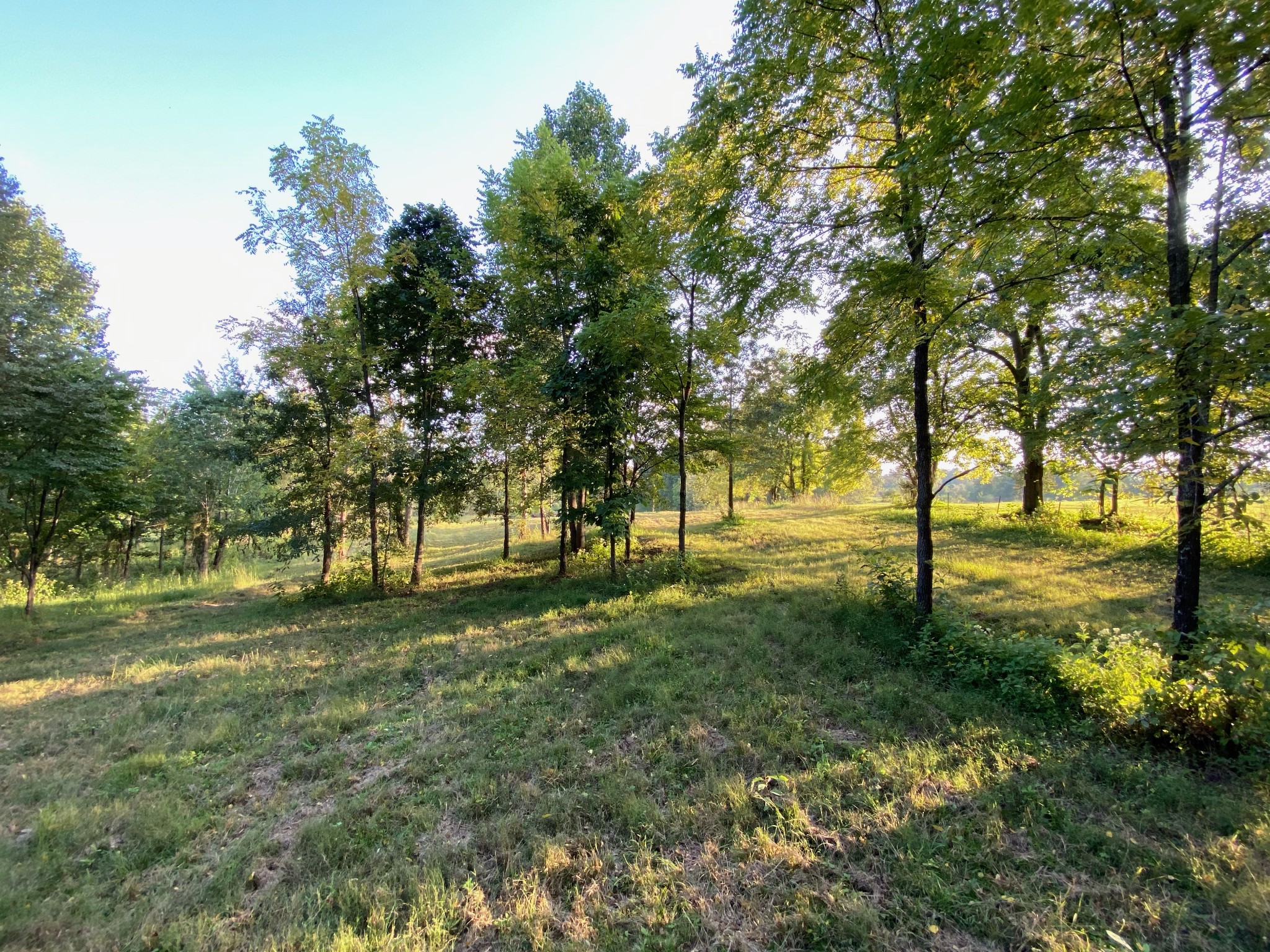 637 Southerland Road Dickson, TN 37055 - Photo 4 of 20 Gallery Image 4