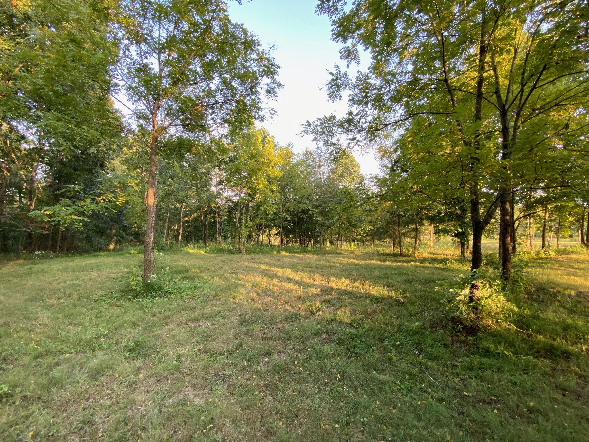637 Southerland Road Dickson, TN 37055 - Photo 5 of 20 Gallery Image 5