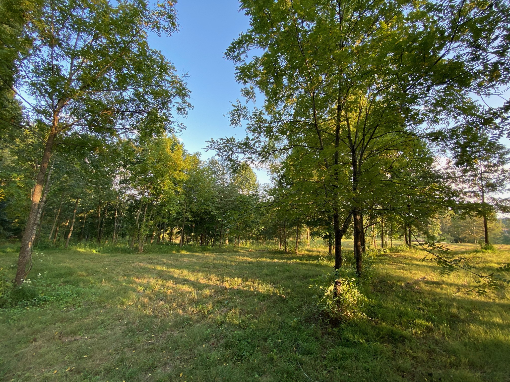 637 Southerland Road Dickson, TN 37055 - Photo 6 of 20 Gallery Image 6