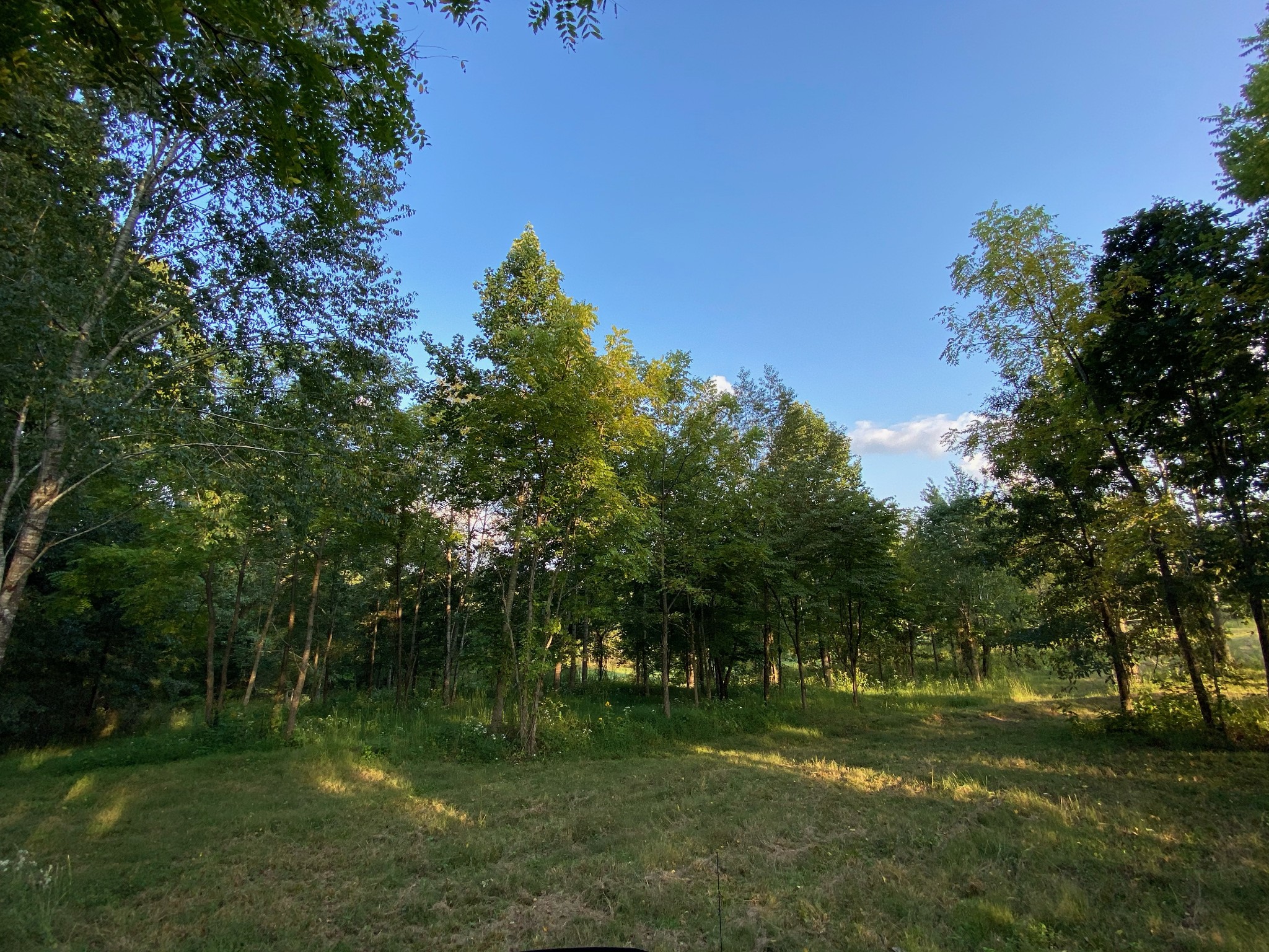 637 Southerland Road Dickson, TN 37055 - Photo 7 of 20 Gallery Image 7