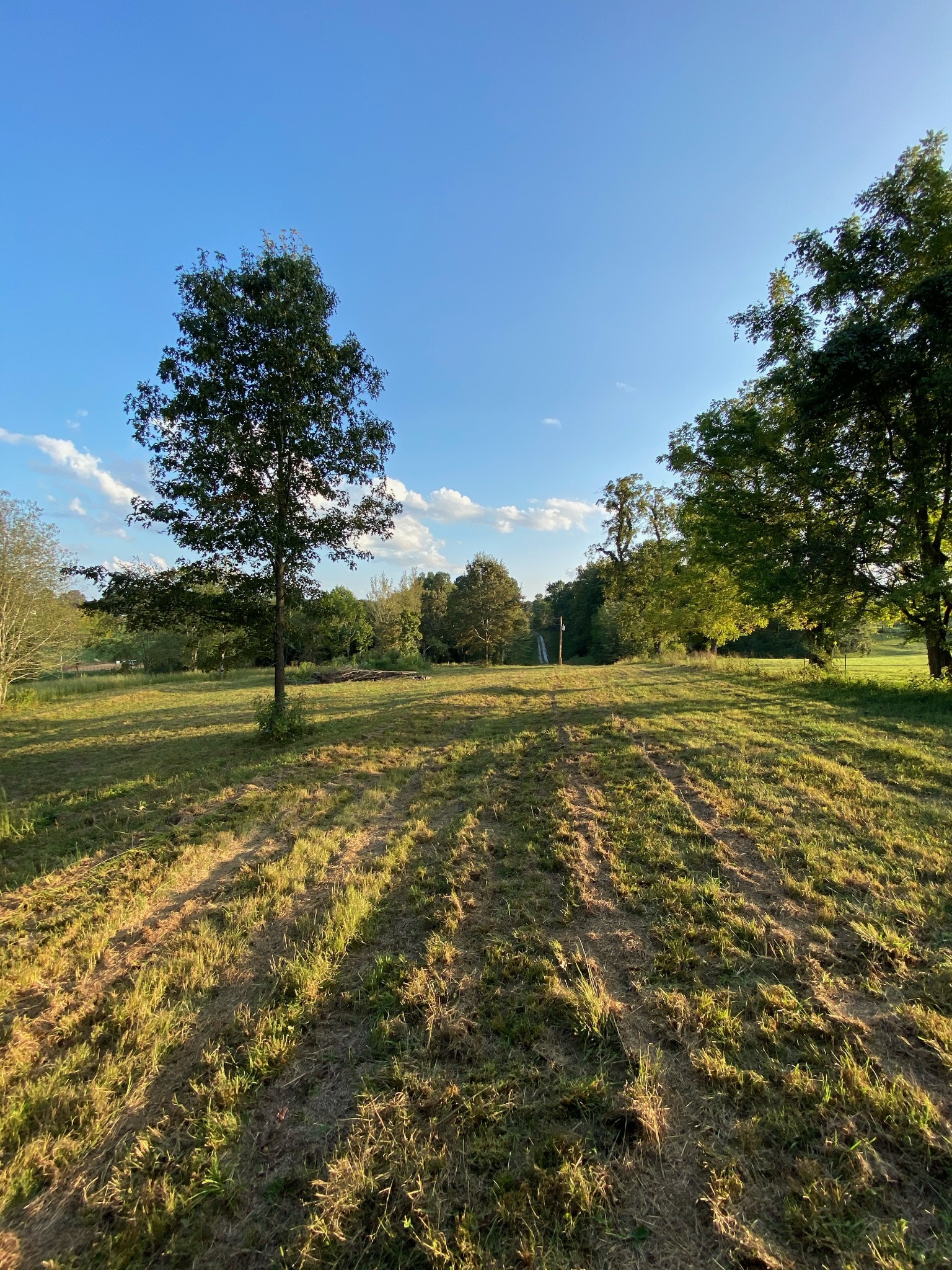 637 Southerland Road Dickson, TN 37055 - Photo 9 of 20 Gallery Image 9
