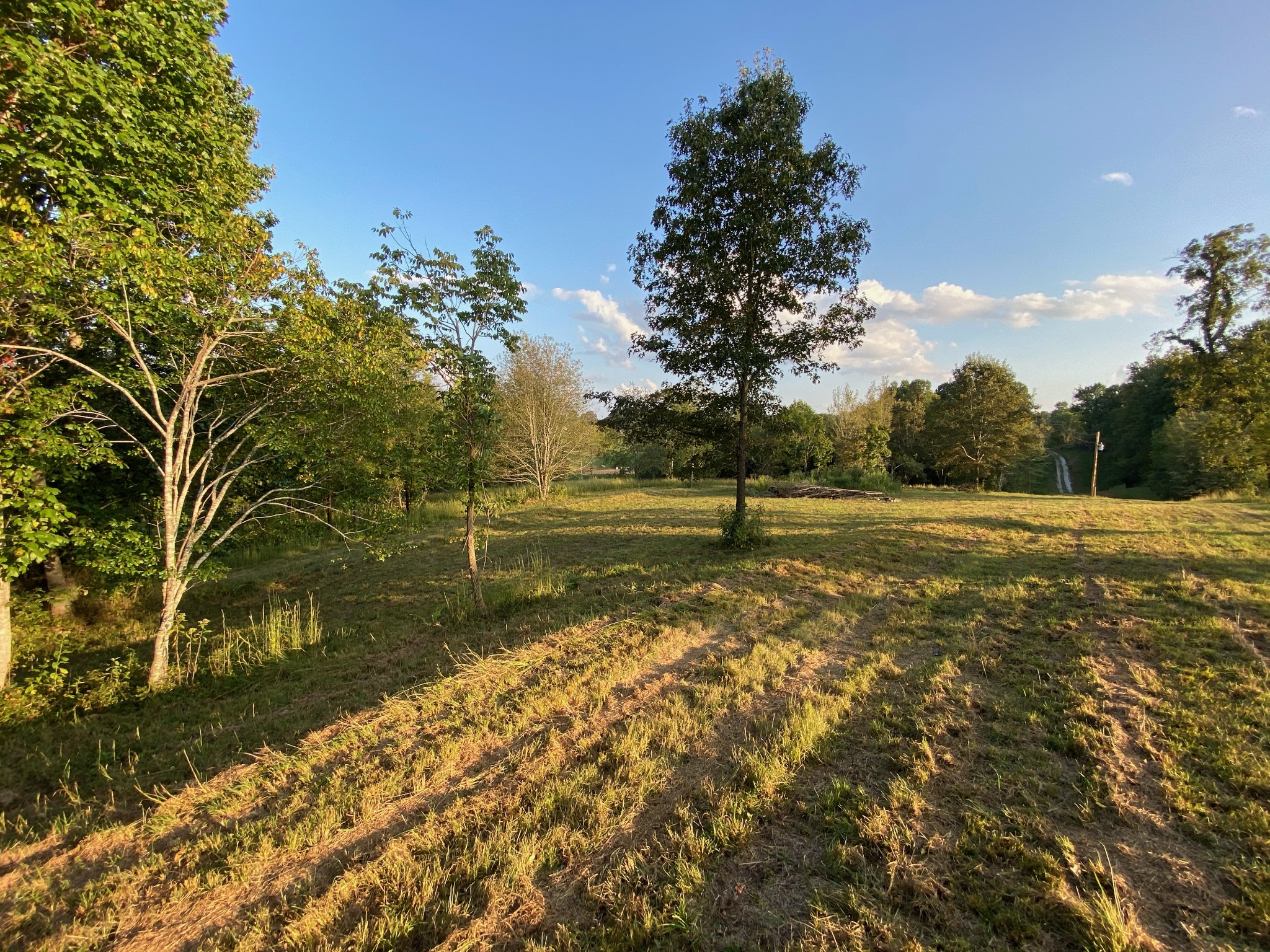 637 Southerland Road Dickson, TN 37055 - Photo 10 of 20 Gallery Image 10