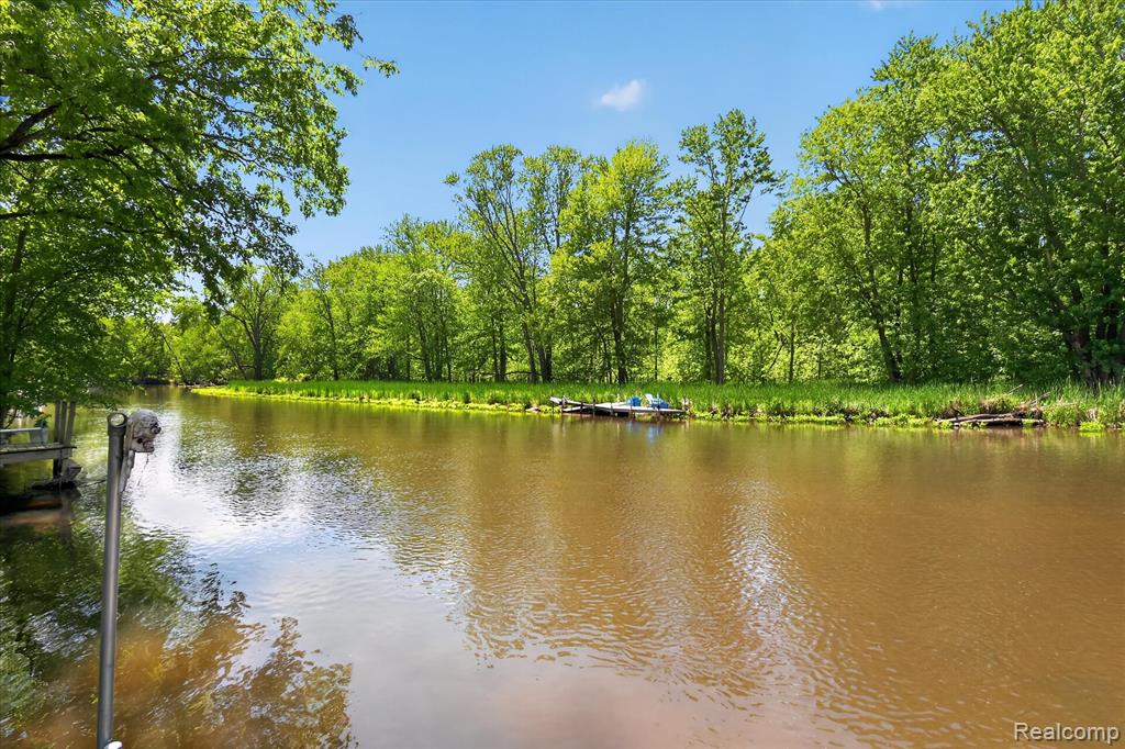 6415 Riverdale Road Whitmore Lake, MI 48189 - Photo 10 of 62
