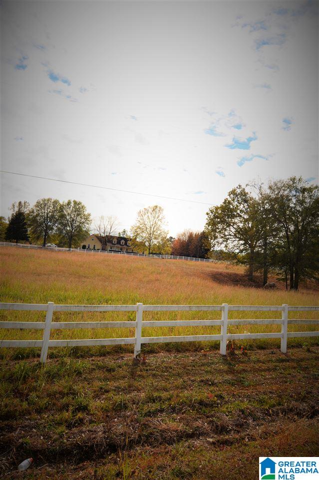 119 Sargent Road Pell City, AL 35125 - Photo 48 of 49 Gallery Image 48