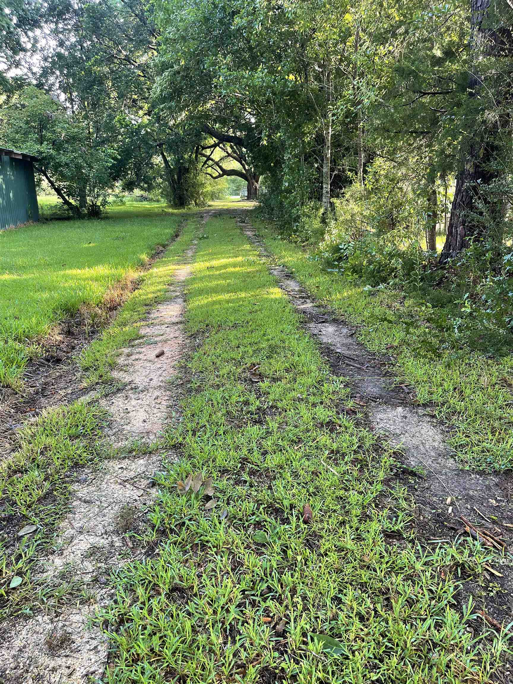 35561 County Road 39 Stapleton, AL 36578 - Photo 11 of 14