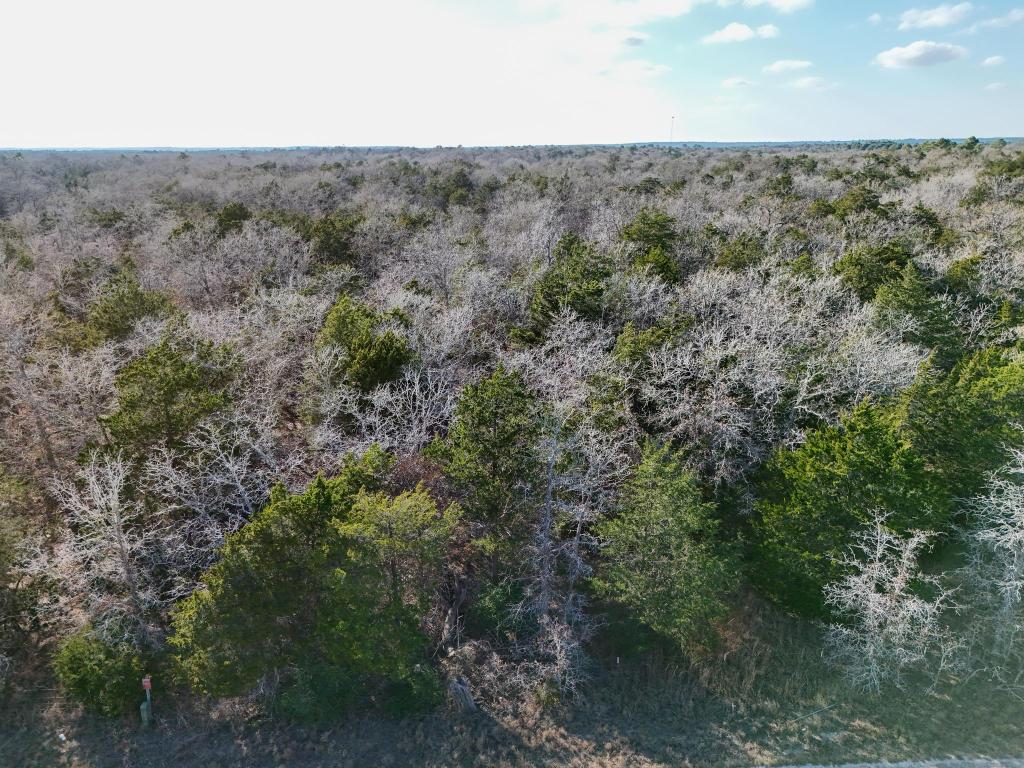 Lot 3 South Old Potato Road Paige, TX 78659 - Photo 4 of 17 Bird's eye view
