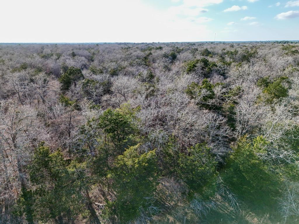 Lot 3 South Old Potato Road Paige, TX 78659 - Photo 5 of 17 Drone / aerial view