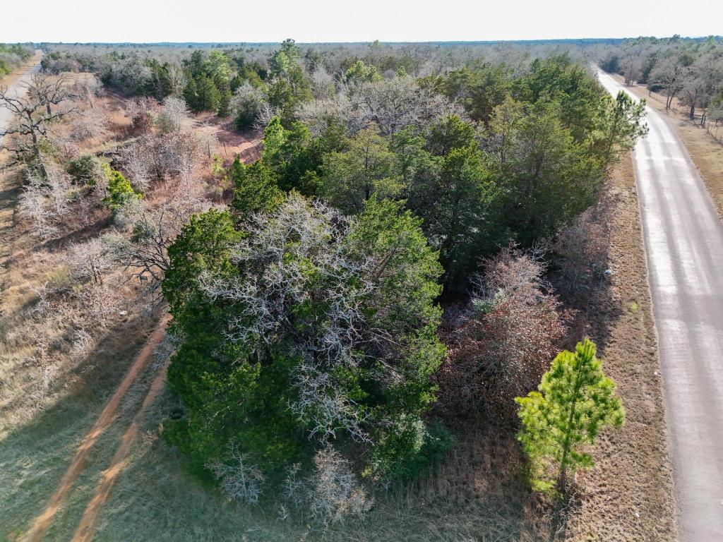 Lot 3 South Old Potato Road Paige, TX 78659 - Photo 7 of 17 Aerial view