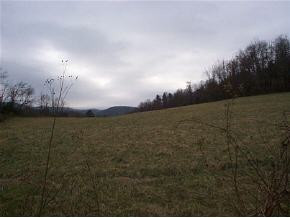 35288 Bucks Bridge Road, Unit B Glade Spring, VA 24340 - Photo 5 of 5 Photo 5