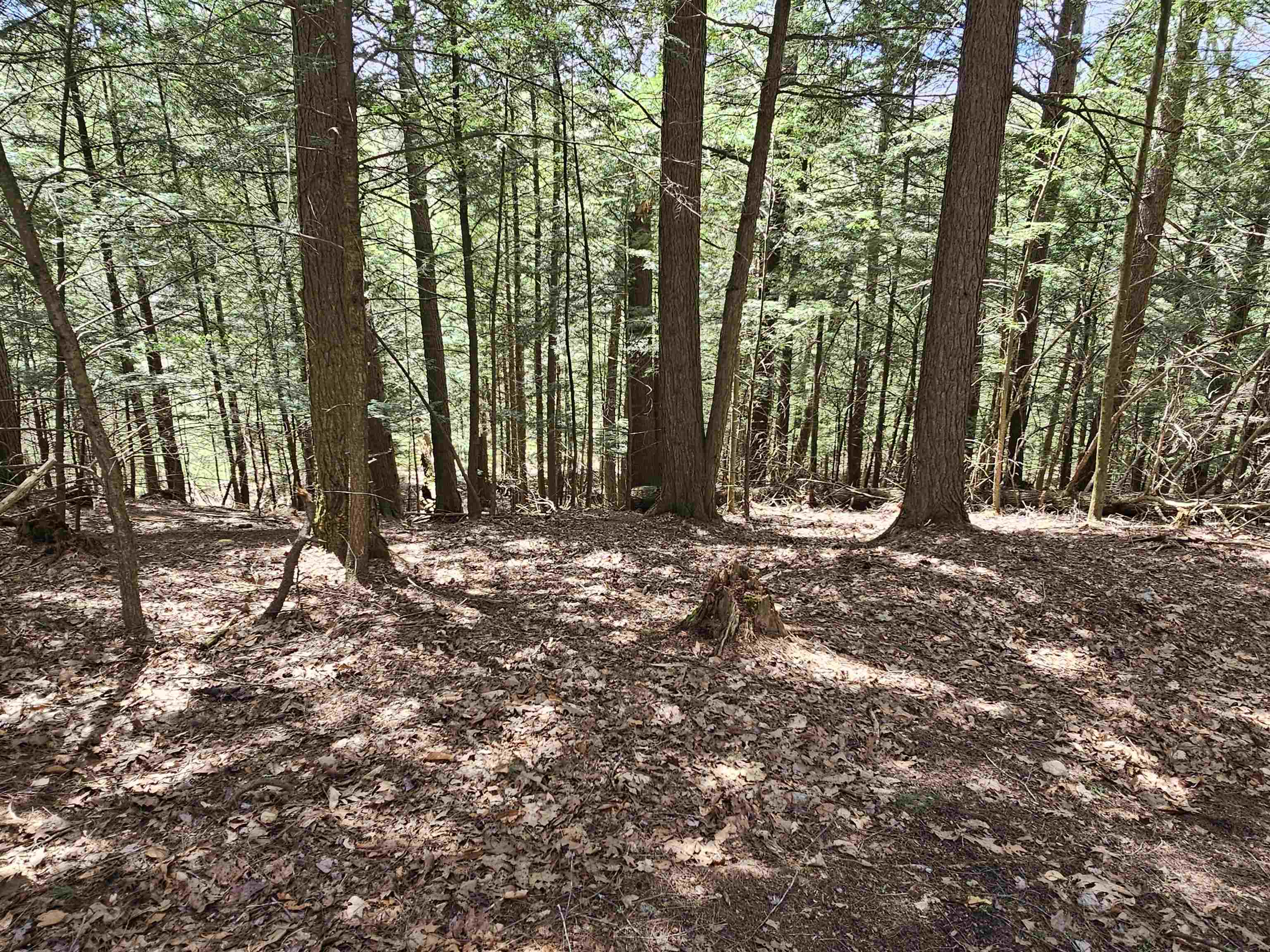 50 Range Road Pittsfield, NH 03263 - Photo 58 of 60