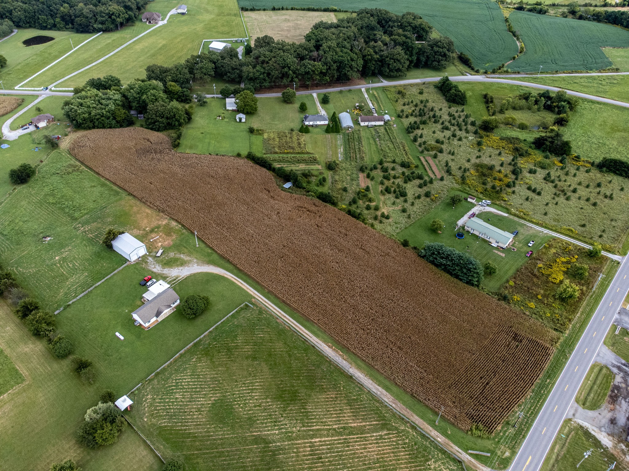 5869 Highway 161 Springfield, TN 37172 - Photo 1 of 11 Gallery Image 1