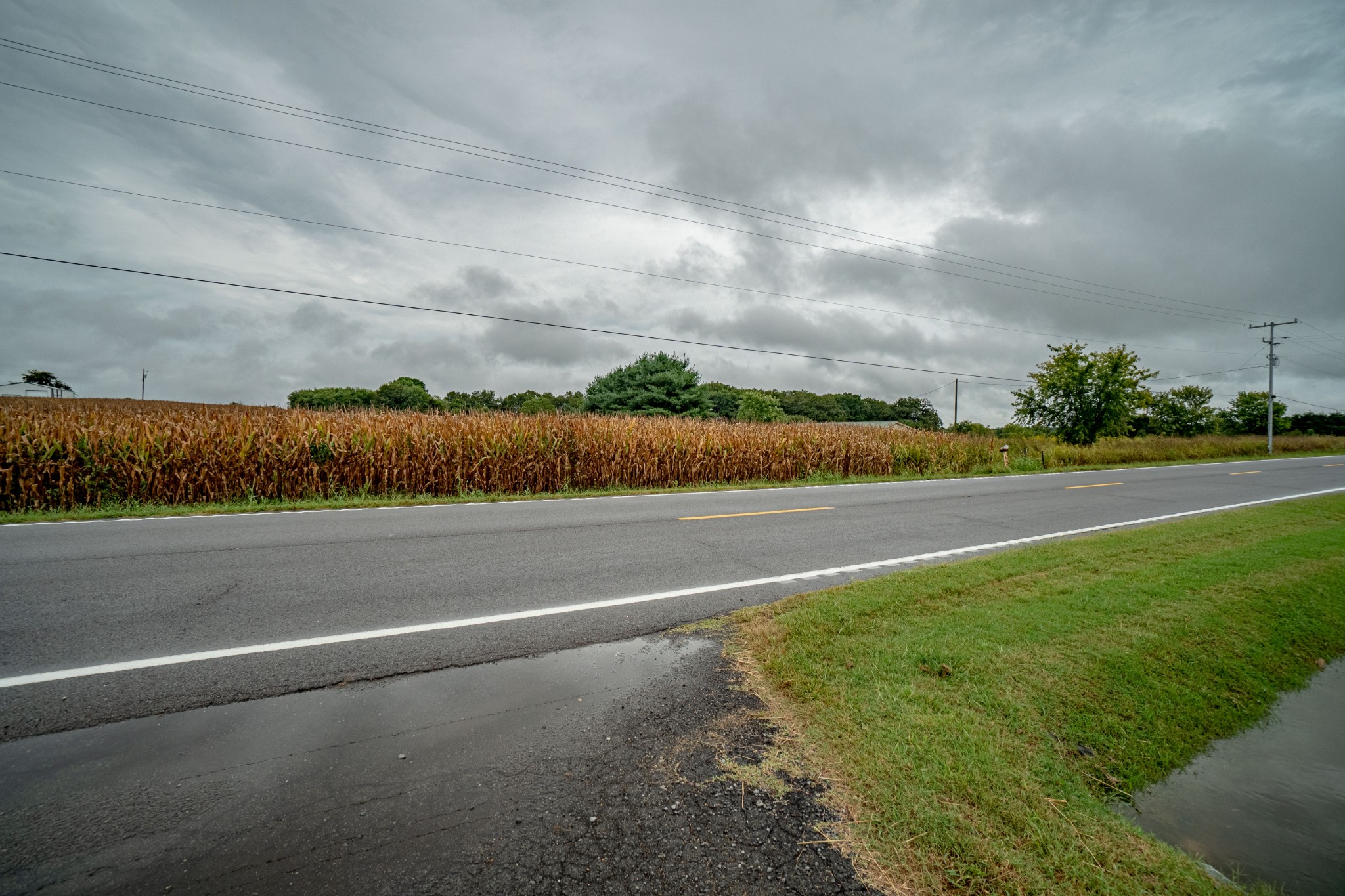 5869 Highway 161 Springfield, TN 37172 - Photo 11 of 11 Gallery Image 11