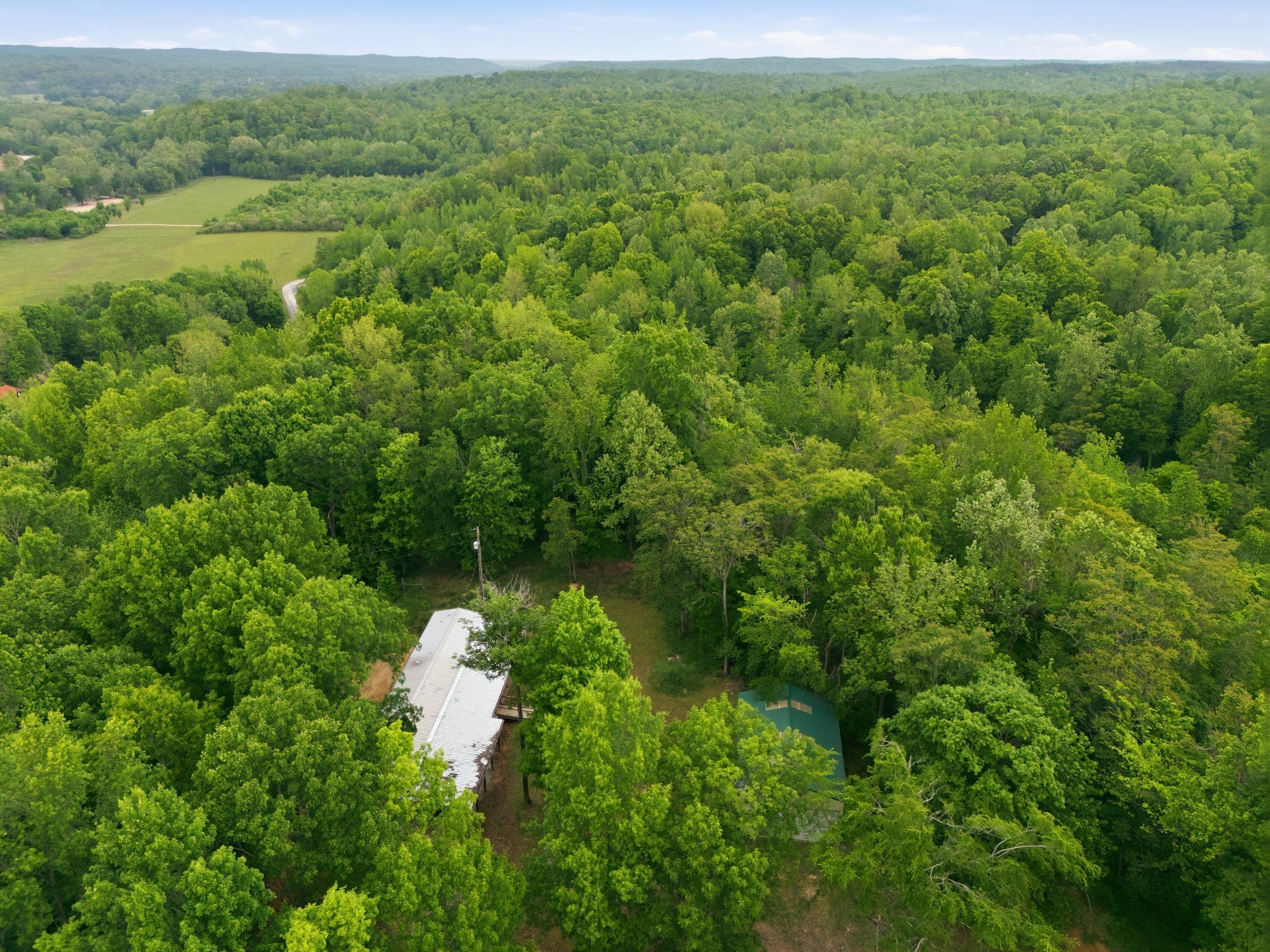 309 River Bluff Road Linden, TN 37096 - Photo 41 of 55