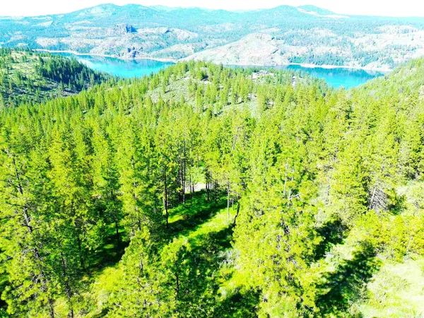 $150,000 | Xx00 Timber Bay Drive East, Unit LOT 55 TIMBER BAY DR E, Davenport, WA 99122