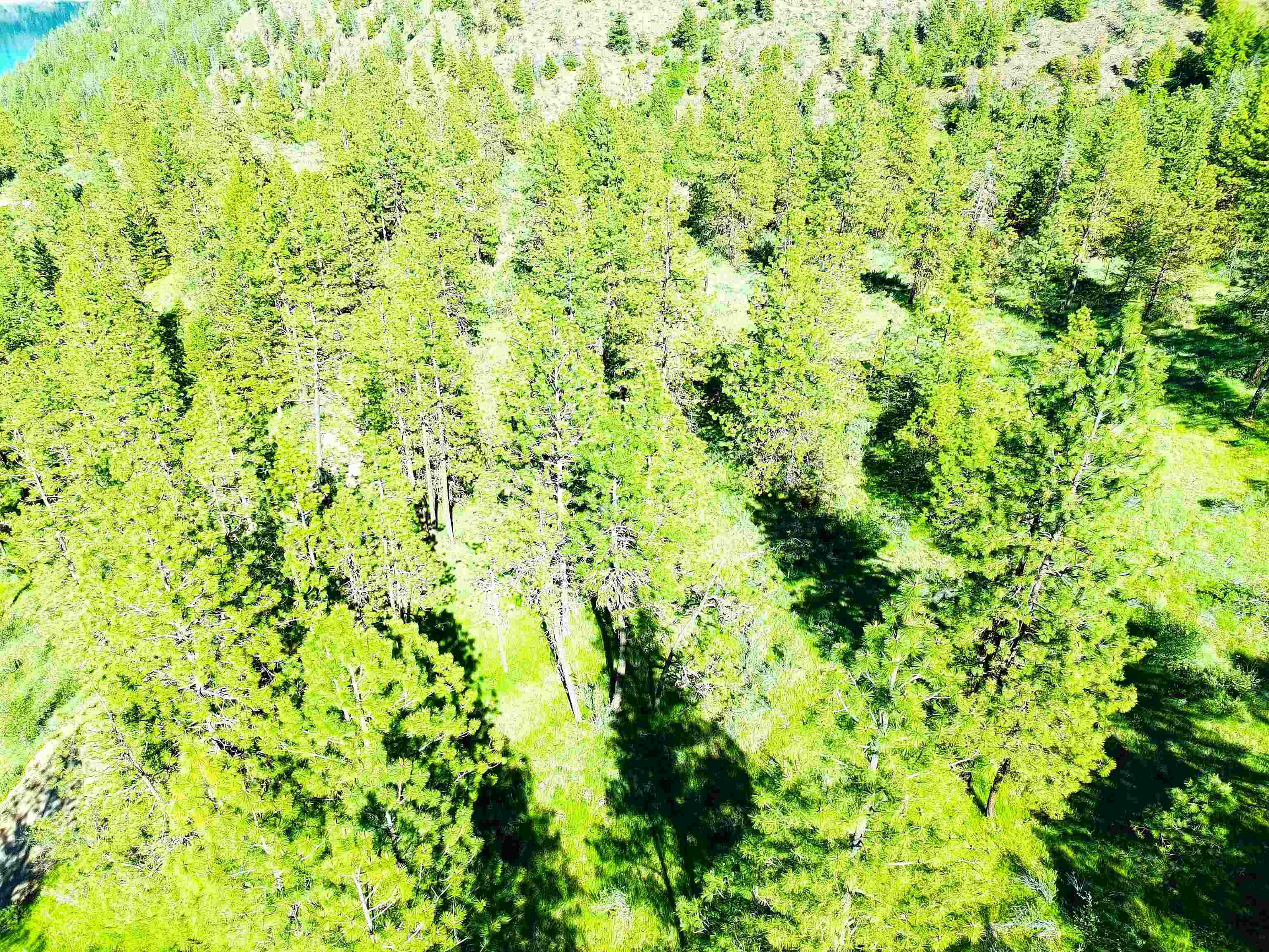 Xx00 Timber Bay Drive East, Unit XX00 TIMBER BAY DR E Davenport, WA 99122 - Photo 12 of 20