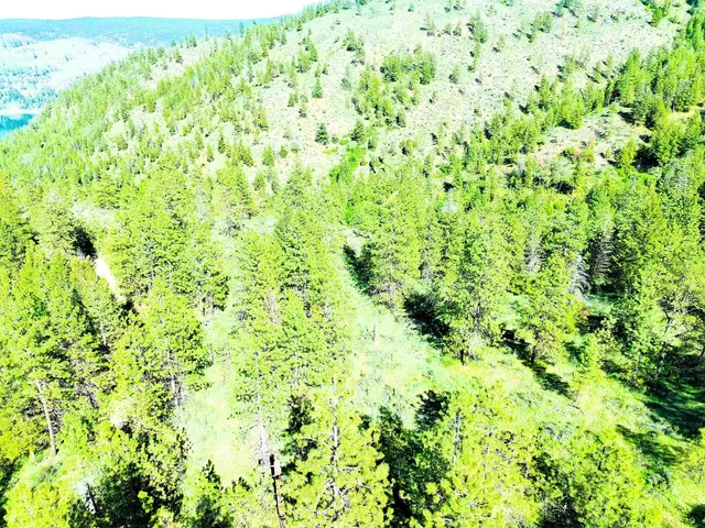 $199,000 | Xx00 Timber Bay Drive East, Unit XX00 TIMBER BAY DR E, Davenport, WA 99122